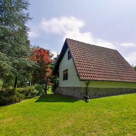 Villa Takovo - Odmor U Selu Gornji Milanovac Esterno foto