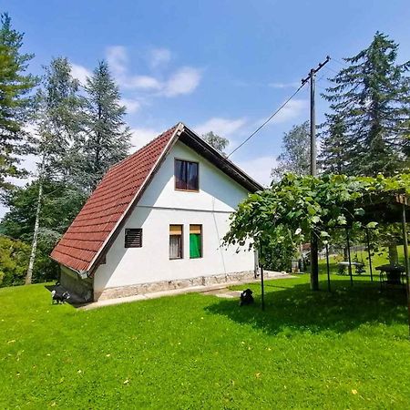 Villa Takovo - Odmor U Selu Gornji Milanovac Esterno foto