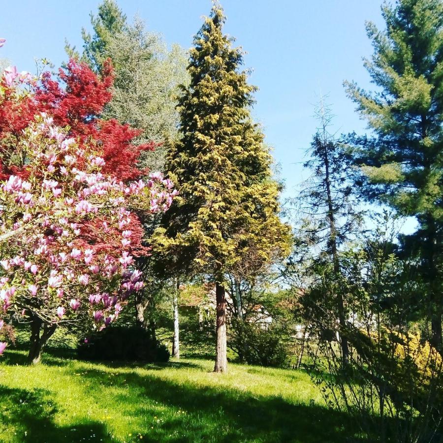 Villa Takovo - Odmor U Selu Gornji Milanovac Esterno foto
