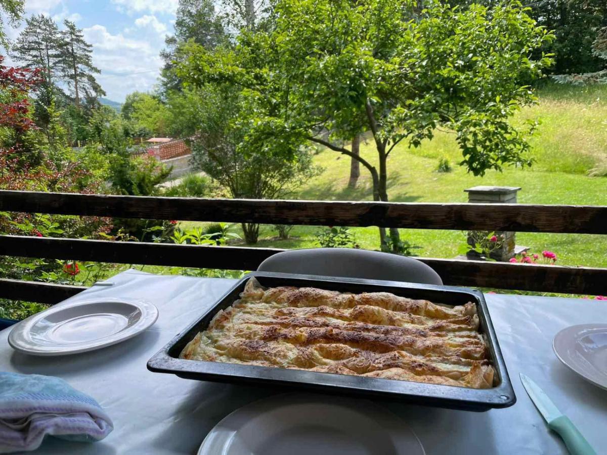 Villa Takovo - Odmor U Selu Gornji Milanovac Esterno foto