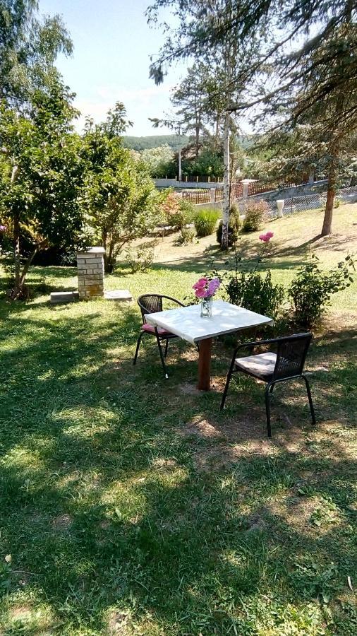 Villa Takovo - Odmor U Selu Gornji Milanovac Esterno foto