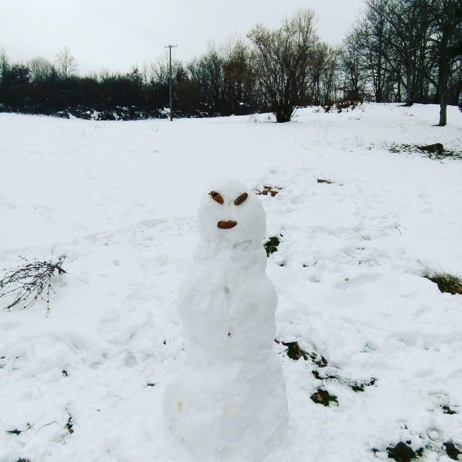 Villa Takovo - Odmor U Selu Gornji Milanovac Esterno foto