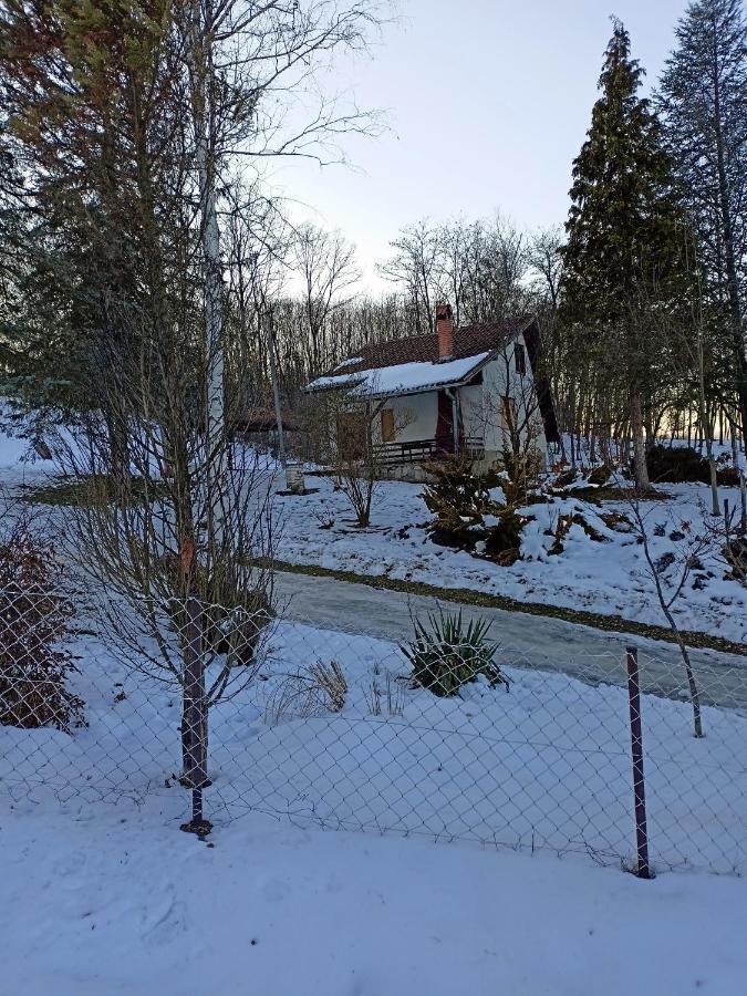 Villa Takovo - Odmor U Selu Gornji Milanovac Esterno foto