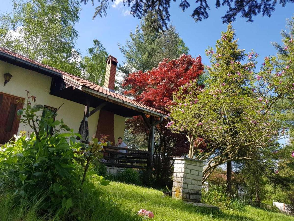 Villa Takovo - Odmor U Selu Gornji Milanovac Esterno foto