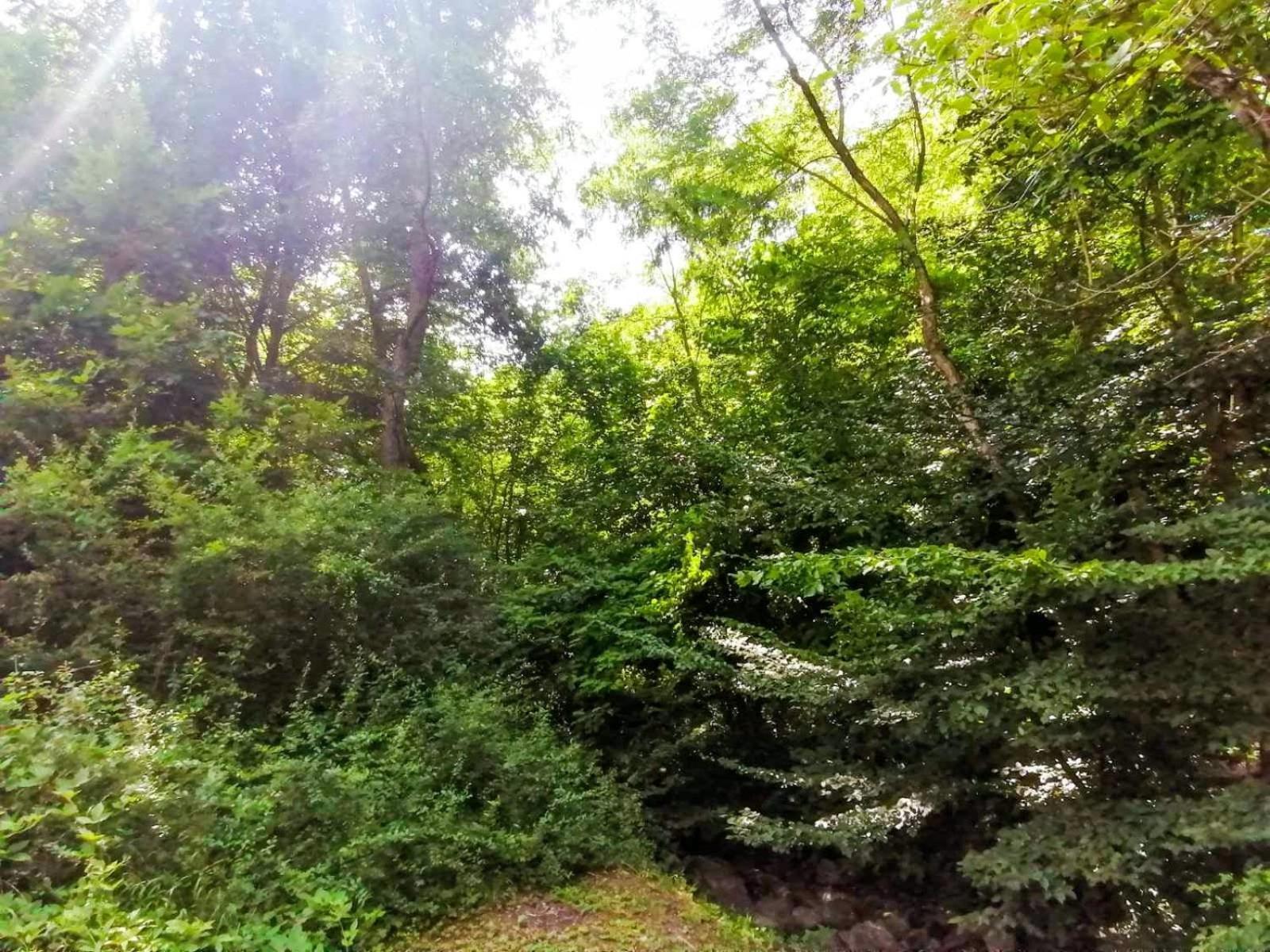 Villa Takovo - Odmor U Selu Gornji Milanovac Esterno foto
