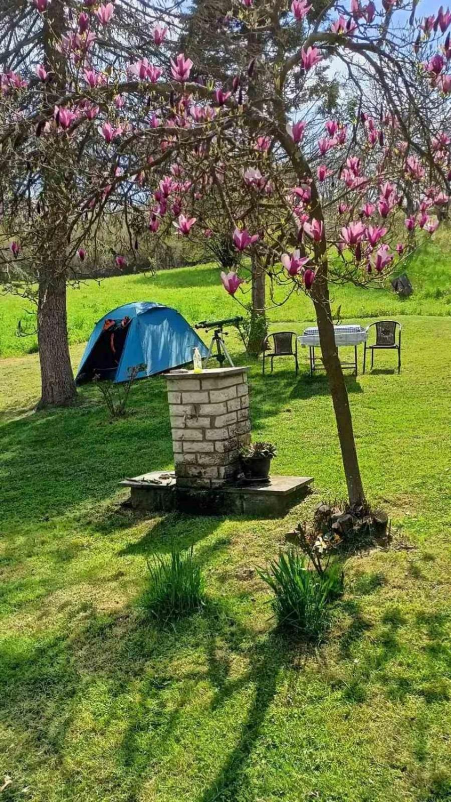 Villa Takovo - Odmor U Selu Gornji Milanovac Esterno foto