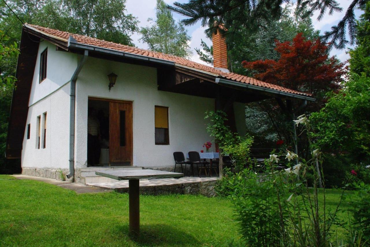Villa Takovo - Odmor U Selu Gornji Milanovac Esterno foto